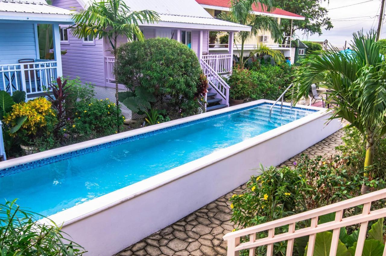 Resort Harbour View Boutique & Yoga Retreat Belize City
