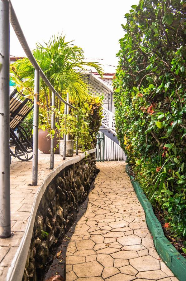 Harbour View Boutique & Yoga Retreat * Belize City