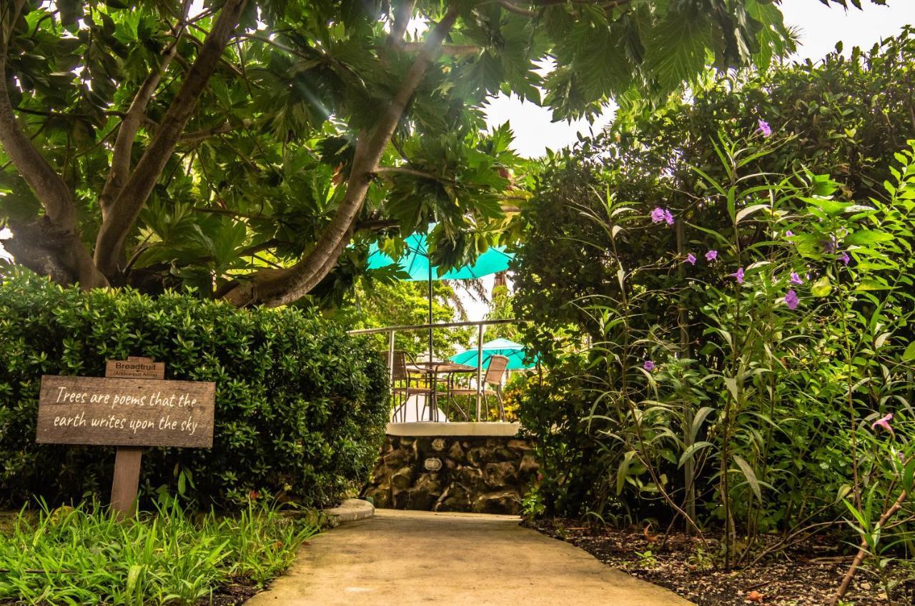 Harbour View Boutique & Yoga Retreat Resort Belize City