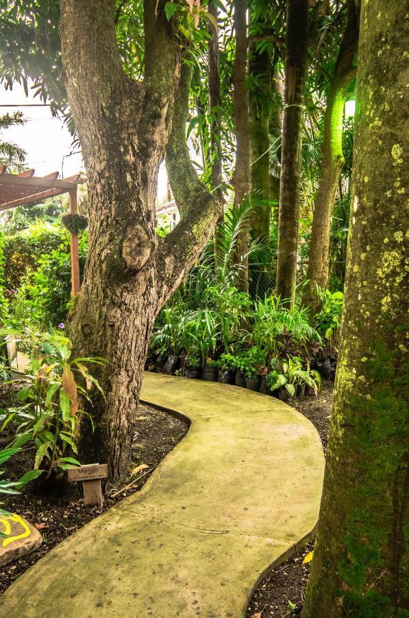 Harbour View Boutique & Yoga Retreat