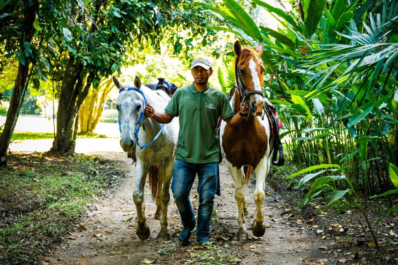 Tanager Rainforest Resort 3*