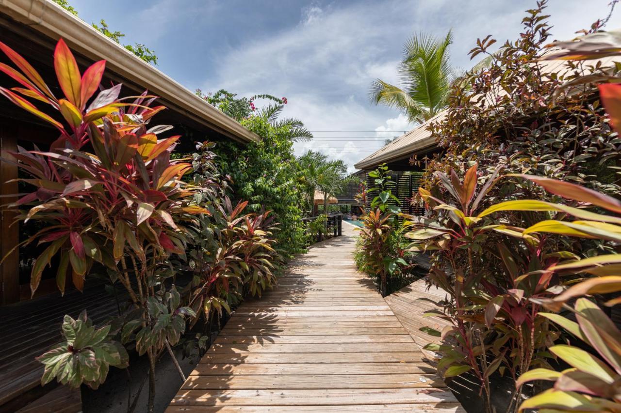 Hotel Pur Boutique Cabanas, Adults Only 3*