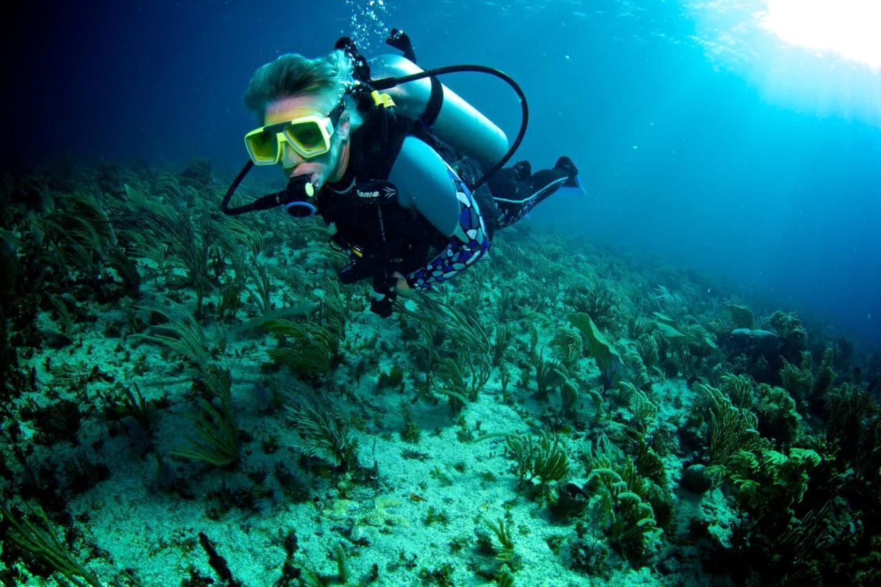 Blue Reef Island