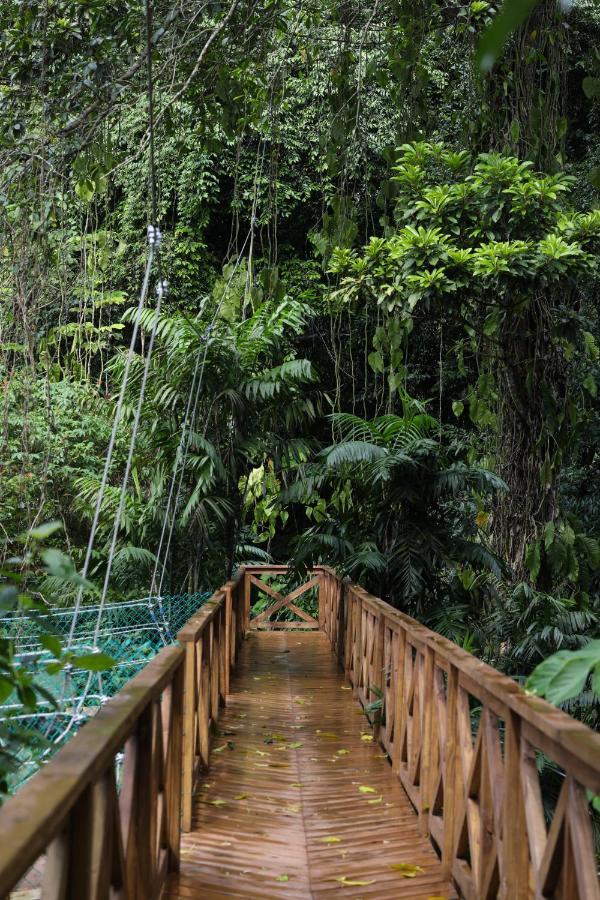 Jade Jungle * Teakettle Village