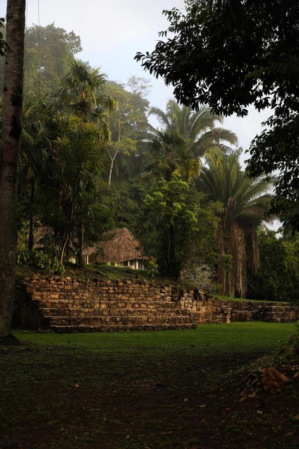 Jade Jungle Resort *