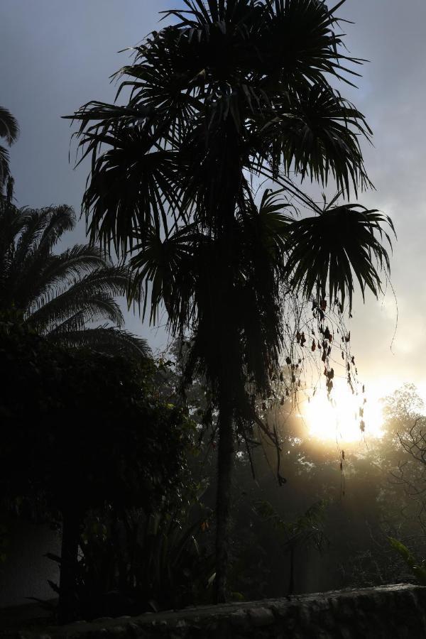 Resort Jade Jungle *
