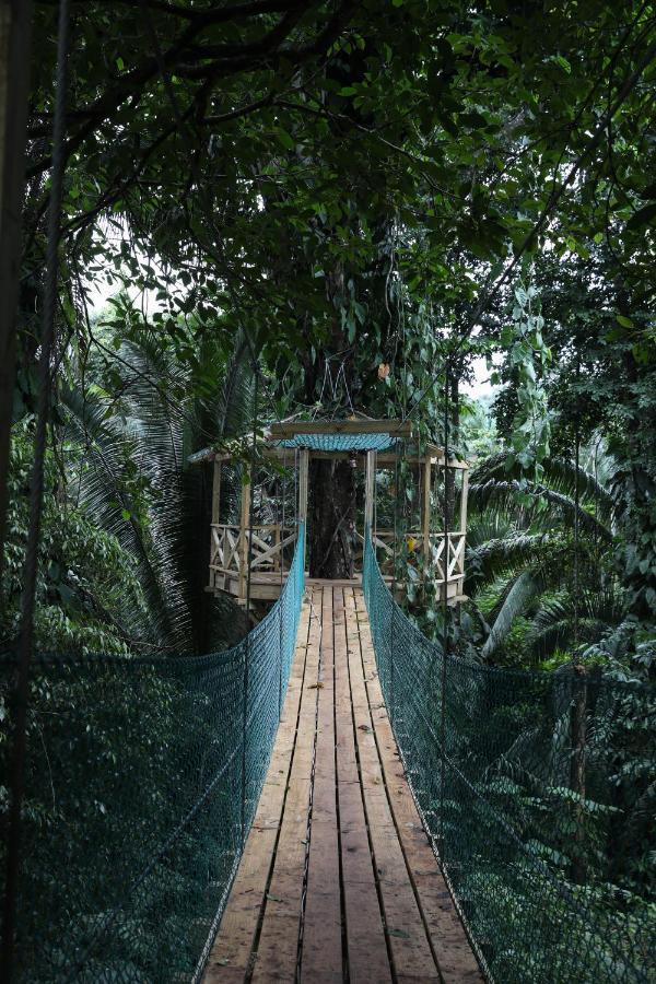 Resort Jade Jungle