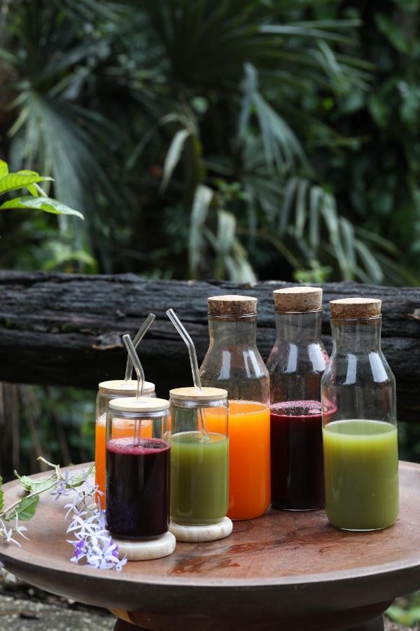 Resort Jade Jungle Teakettle Village