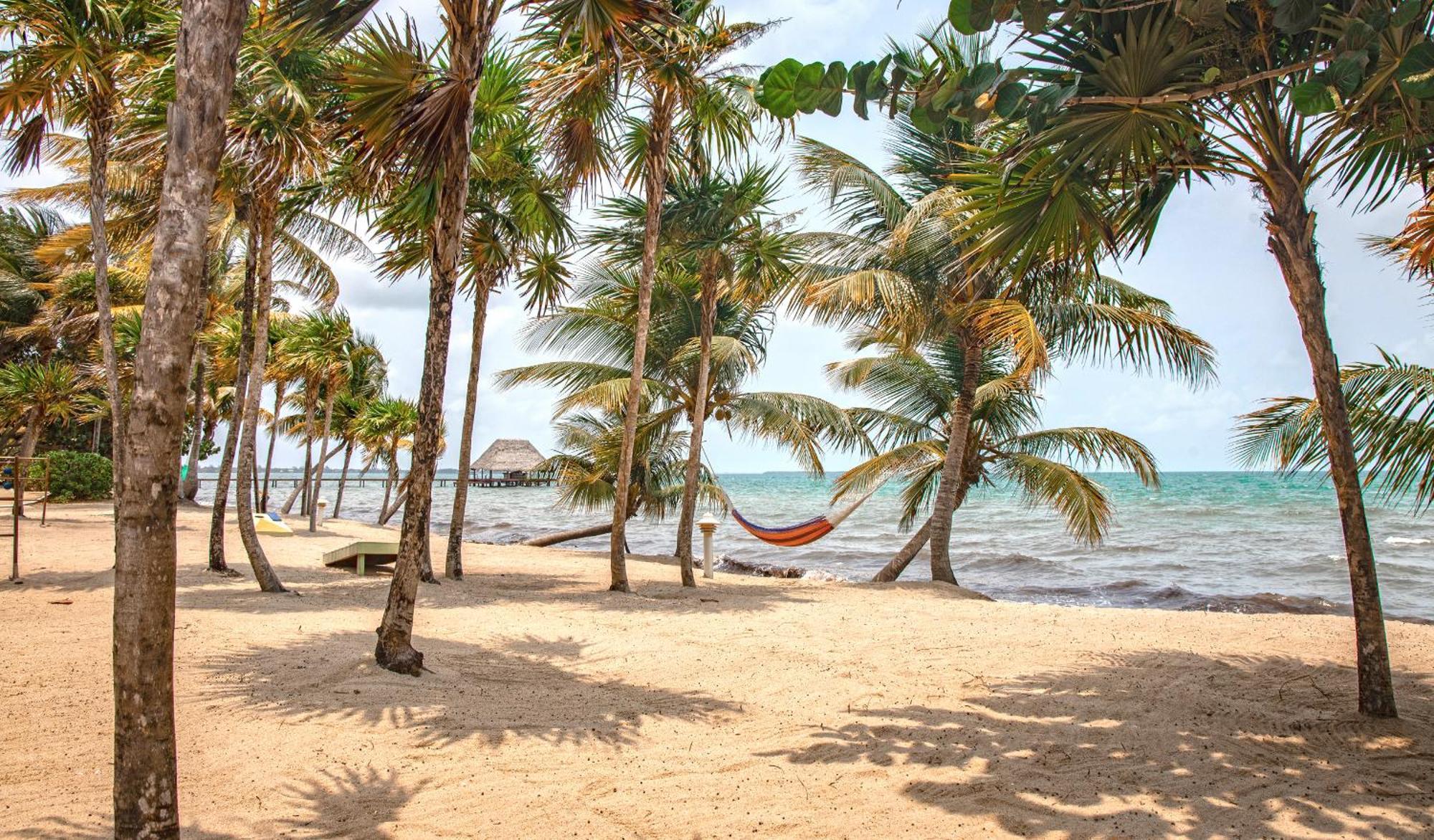 Laru Beya Placencia
