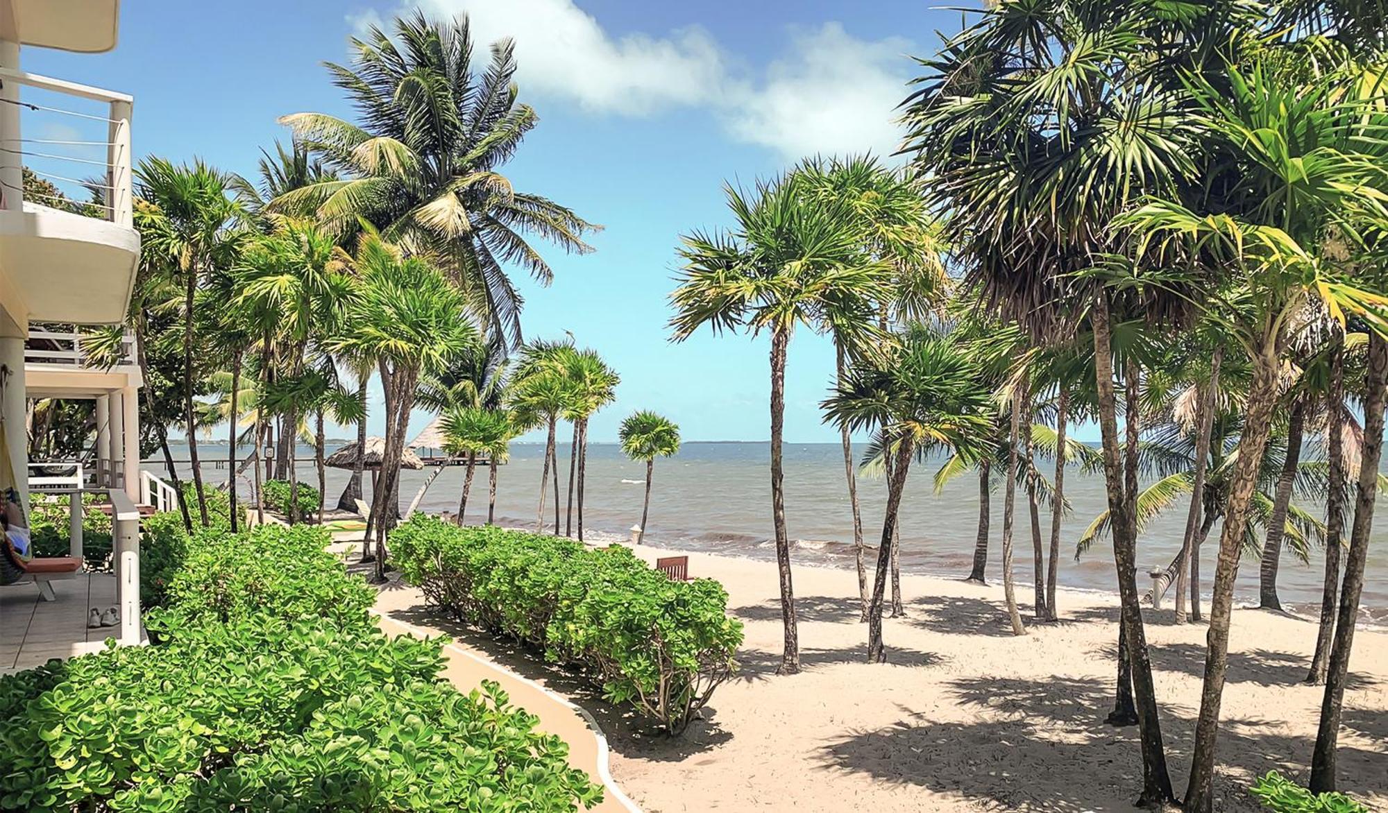 Laru Beya Placencia