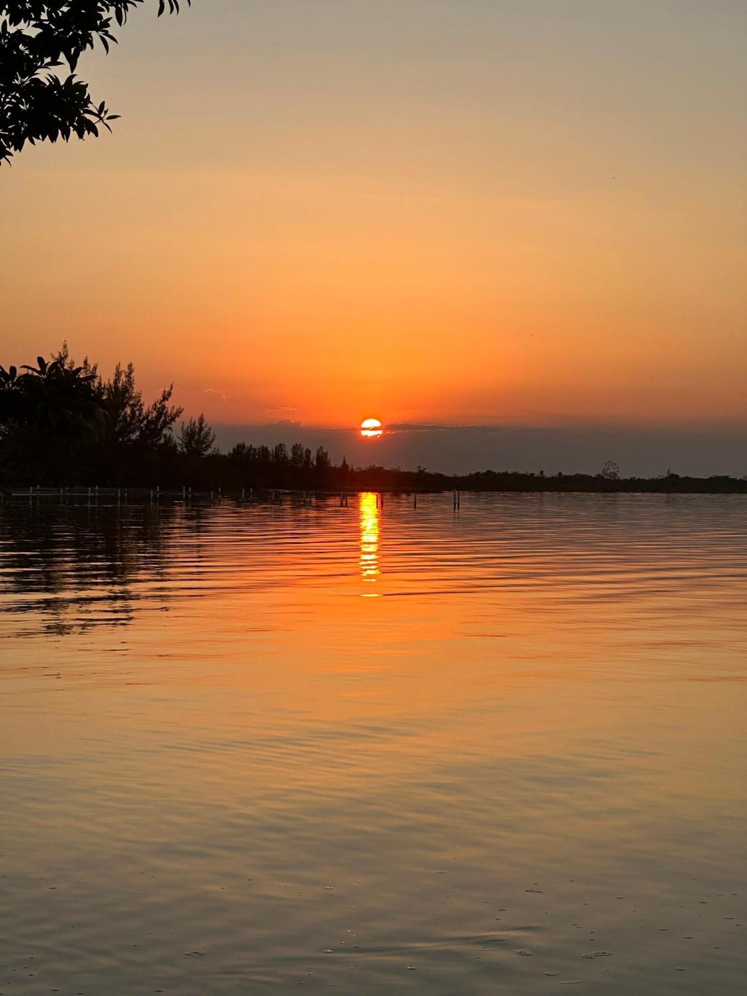 Belizima Eco