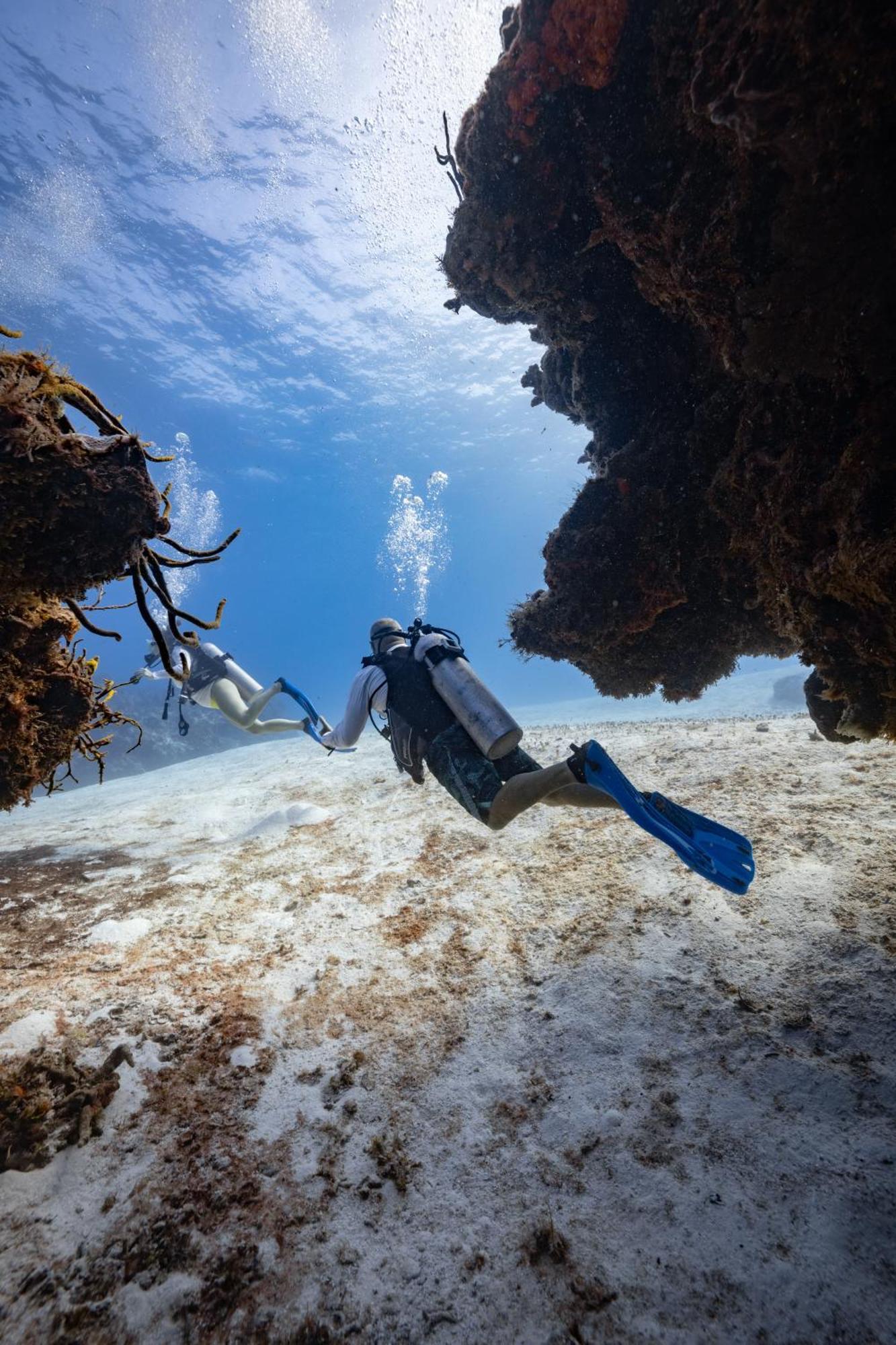 Ocean Tide San Pedro (Ambergris Caye)