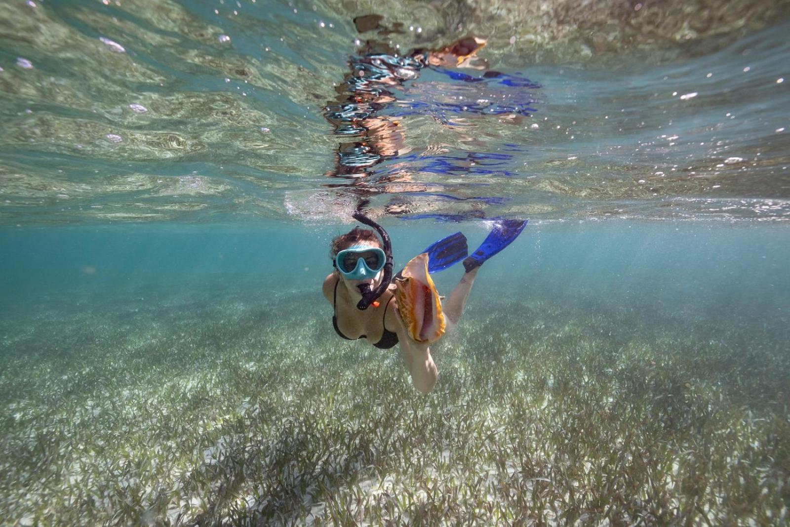 Ocean Tide Hotel San Pedro (Ambergris Caye)