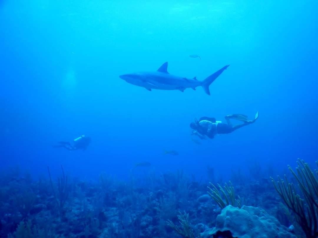 Del Mar San Pedro (Ambergris Caye)