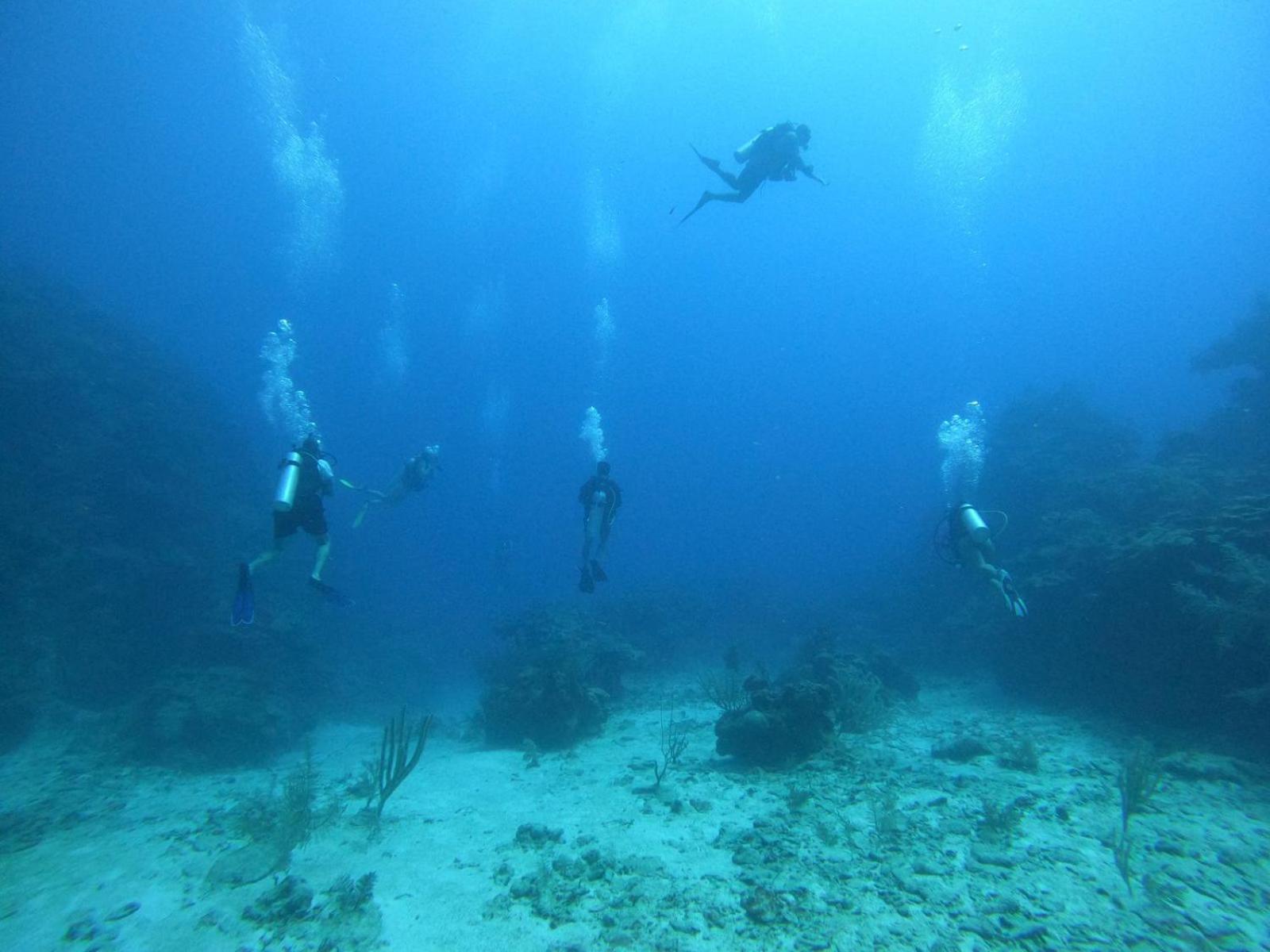 Hotel Del Mar San Pedro (Ambergris Caye)