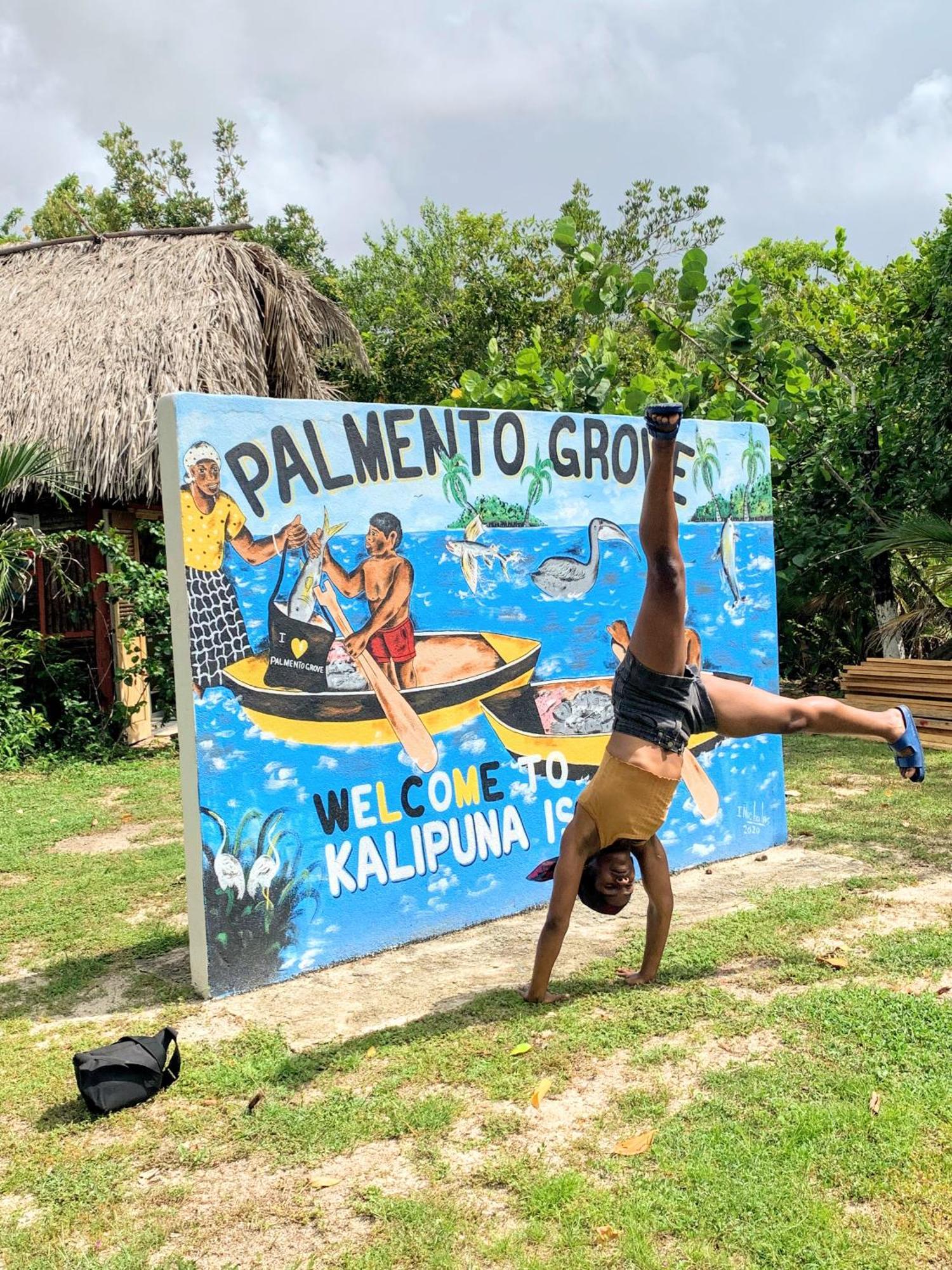 Palmento Grove Garifuna Eco-cultural & Healing Institute Hopkins