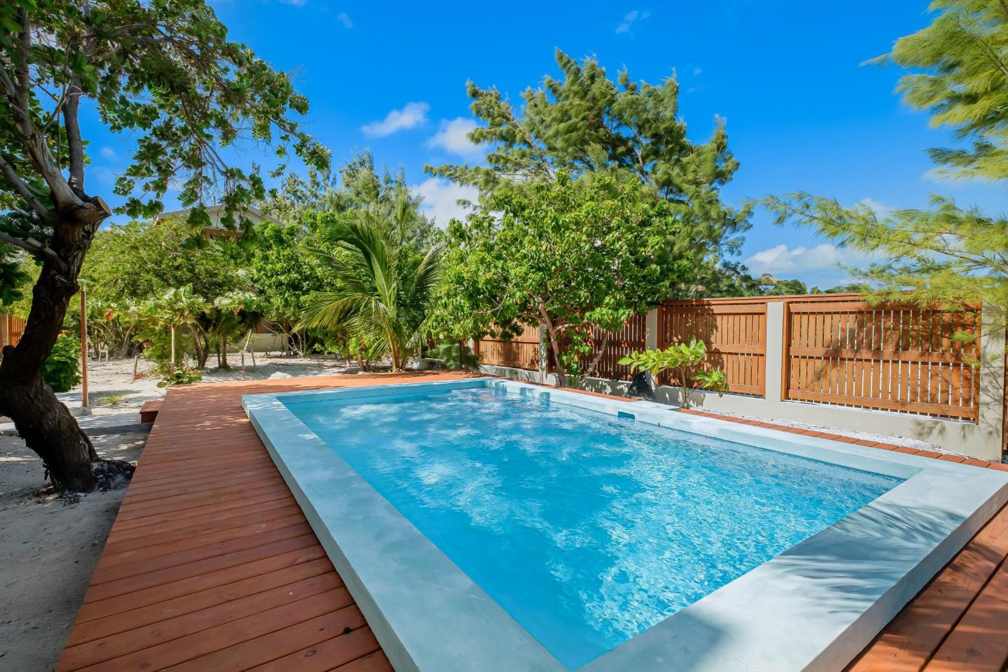 The At Island Pearl Gold Standard Certified *