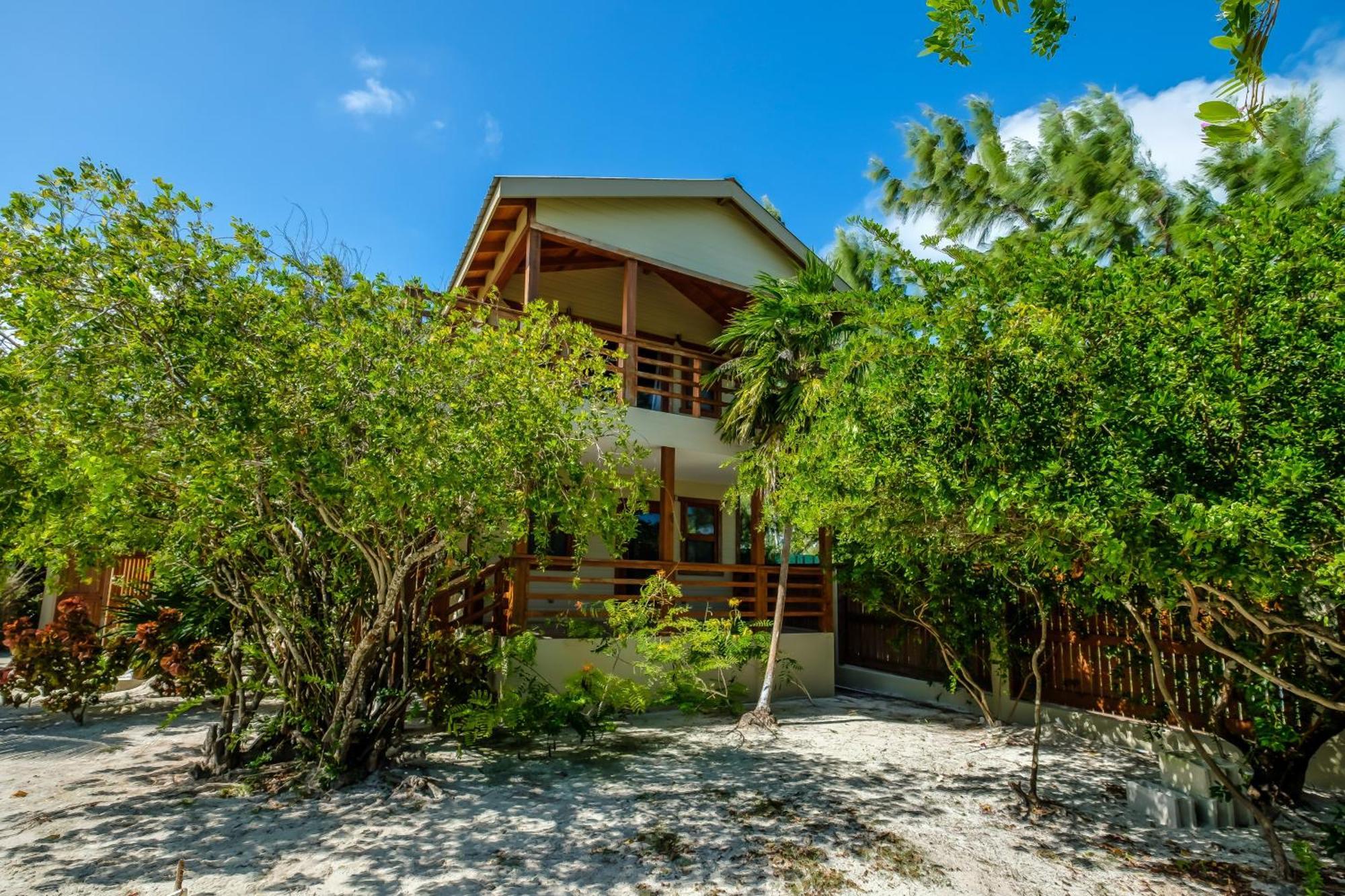 The At Island Pearl Gold Standard Certified Caye Caulker