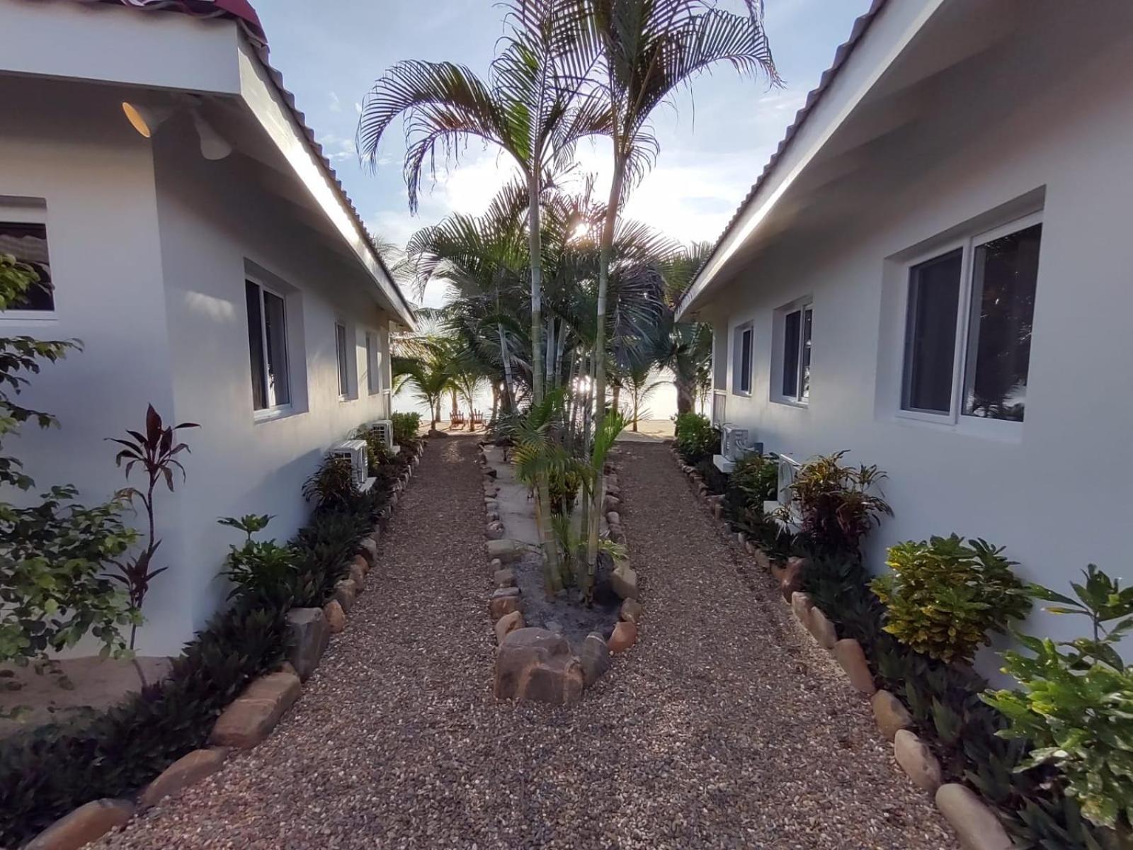 Ceiba Maya Beach