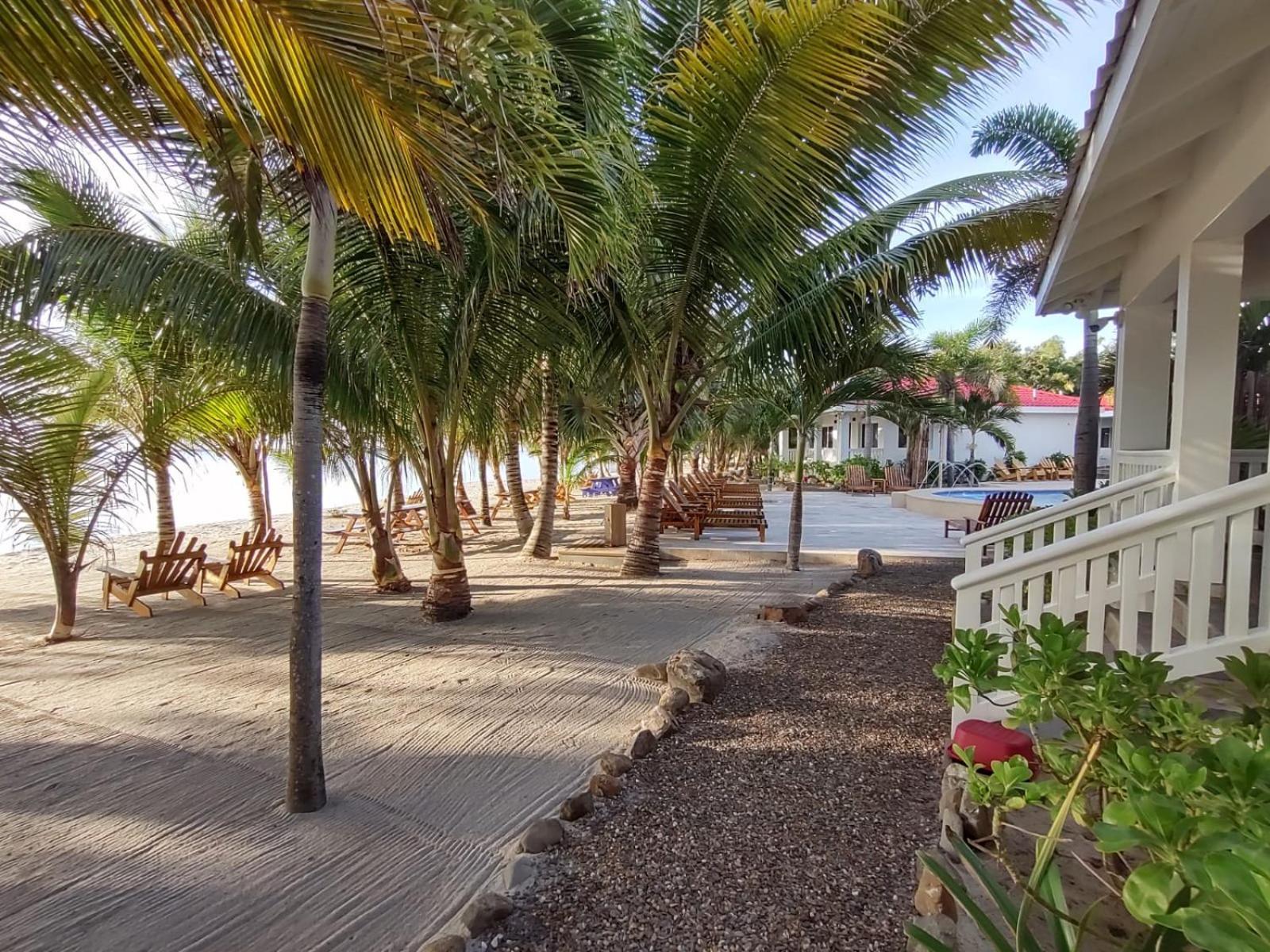 Ceiba Maya Beach