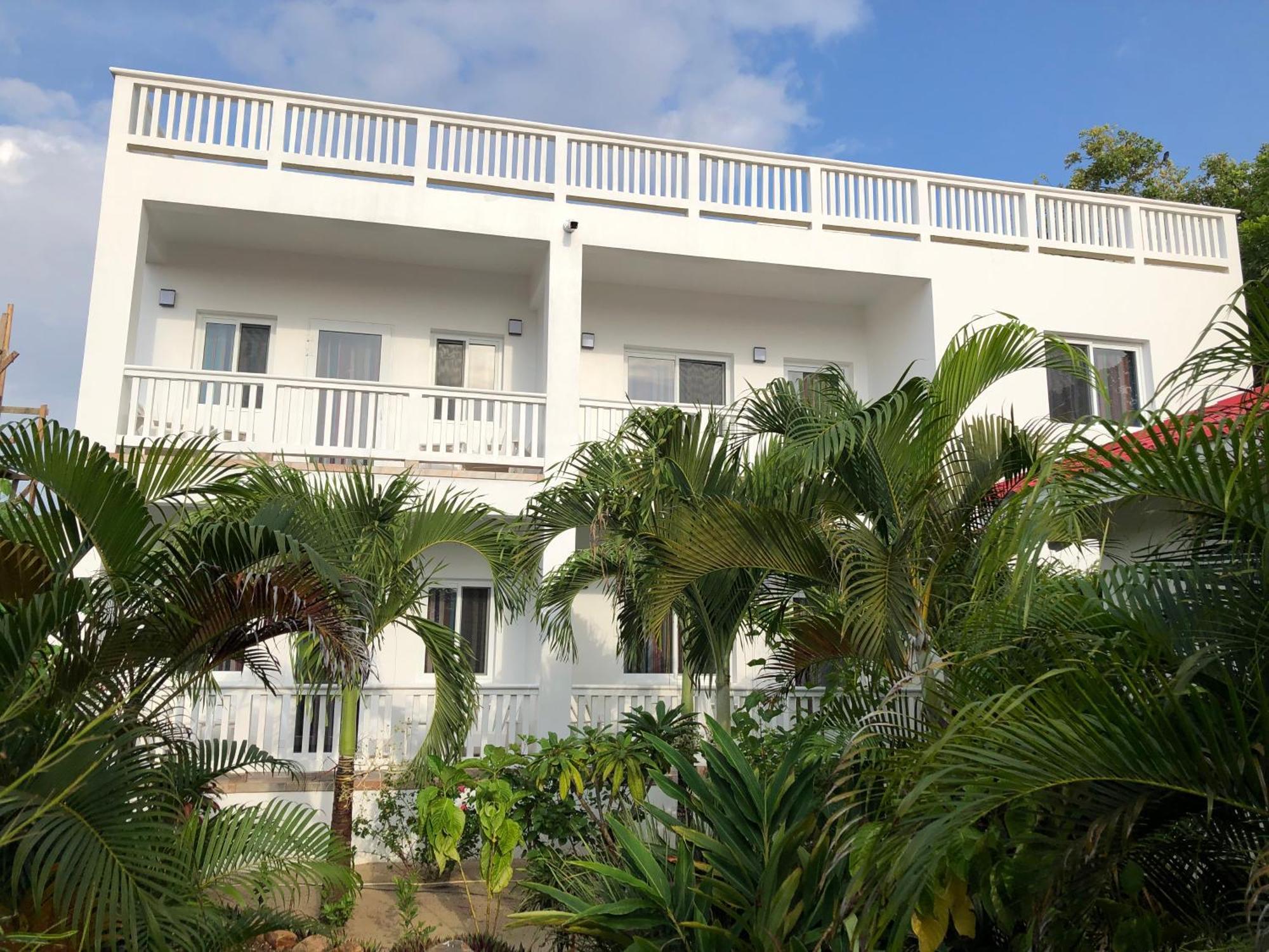 Ceiba *