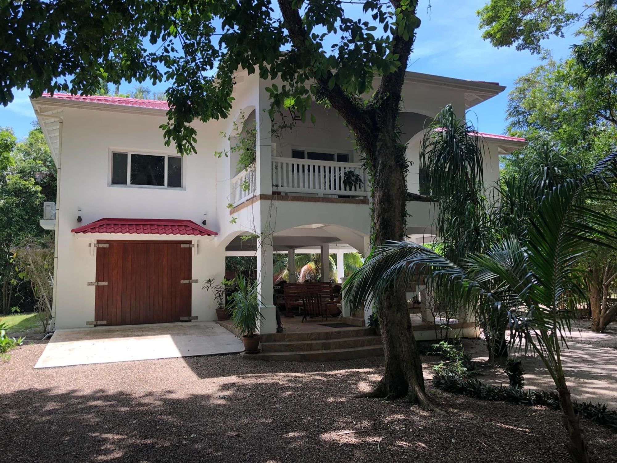 Ceiba