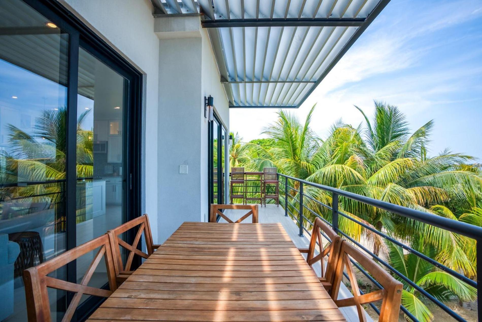 Sunset Gecko - 2b * Placencia