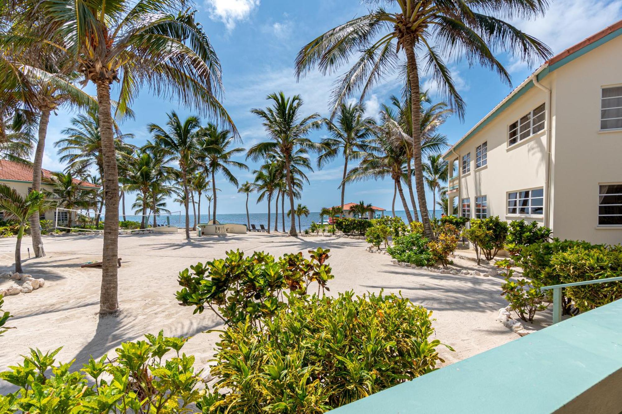 Belizean Shores