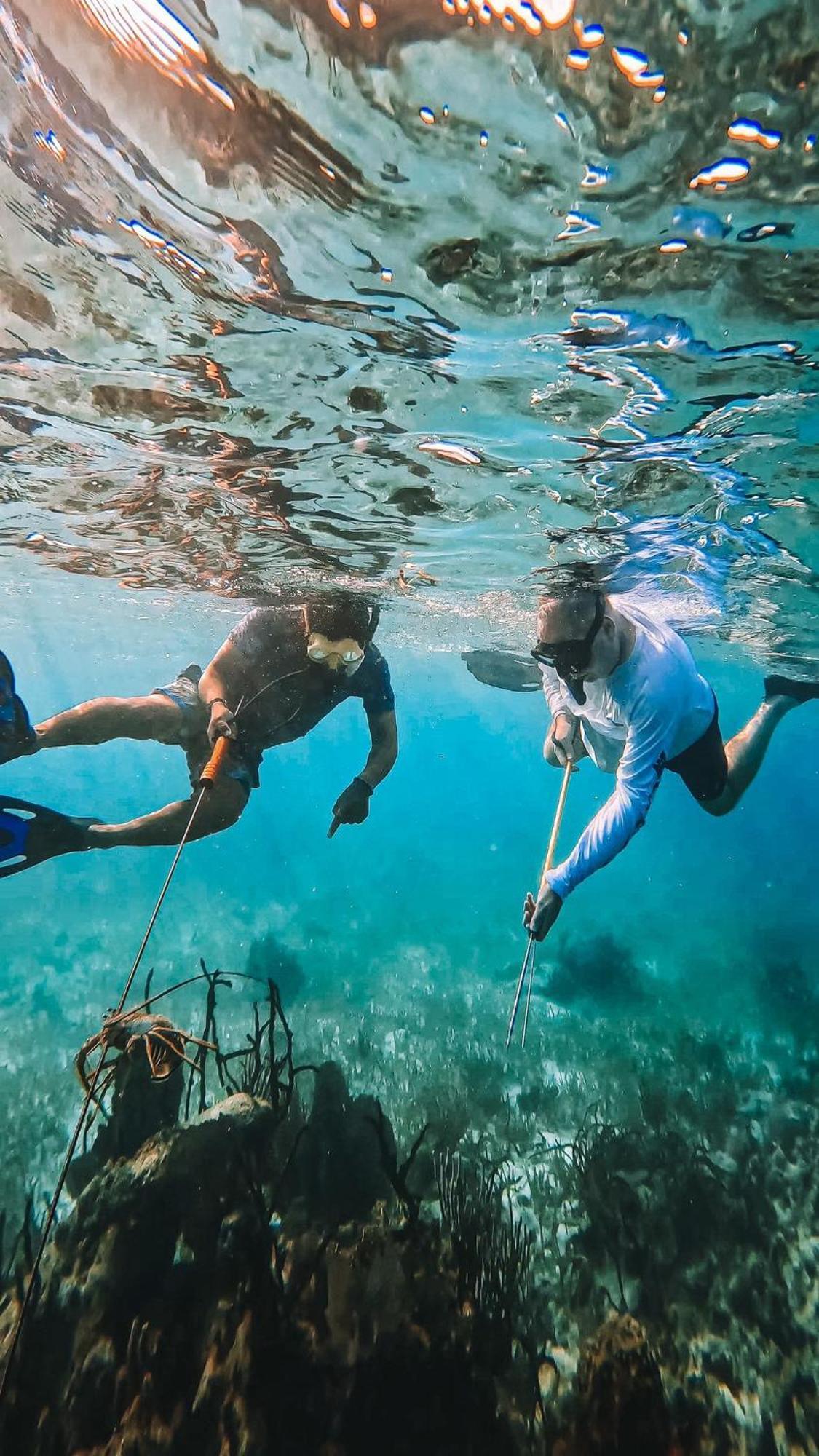 Resort Blue Reef Island