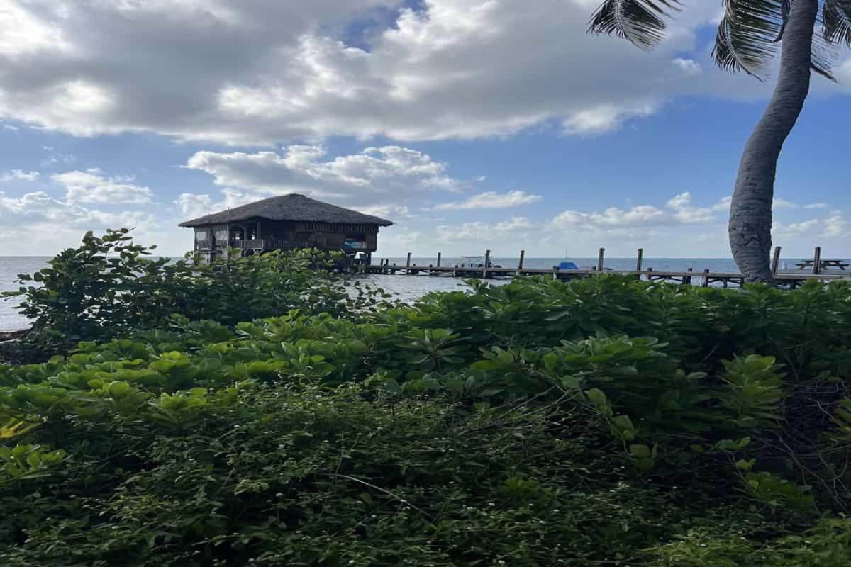 Resort White Sands Cove San Pedro (Ambergris Caye)