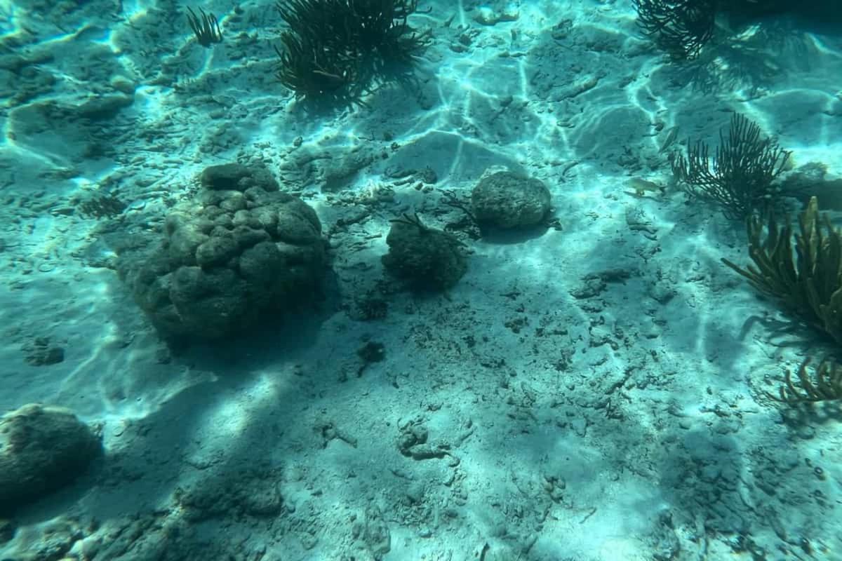 White Sands Cove Resort San Pedro (Ambergris Caye)