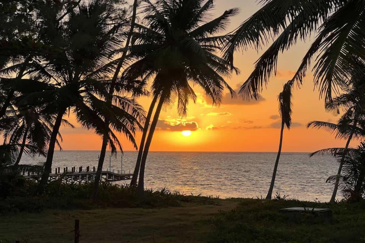 White Sands Cove Resort San Pedro (Ambergris Caye)