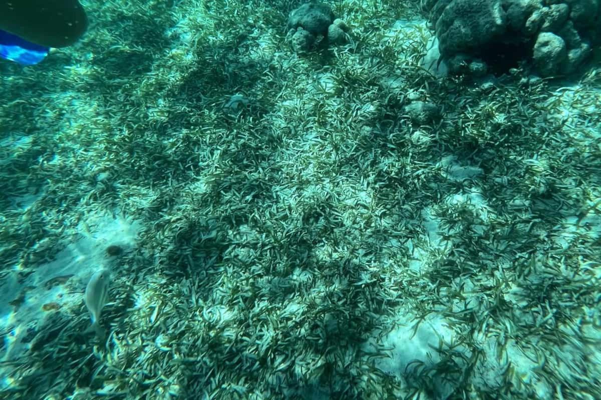 White Sands Cove
