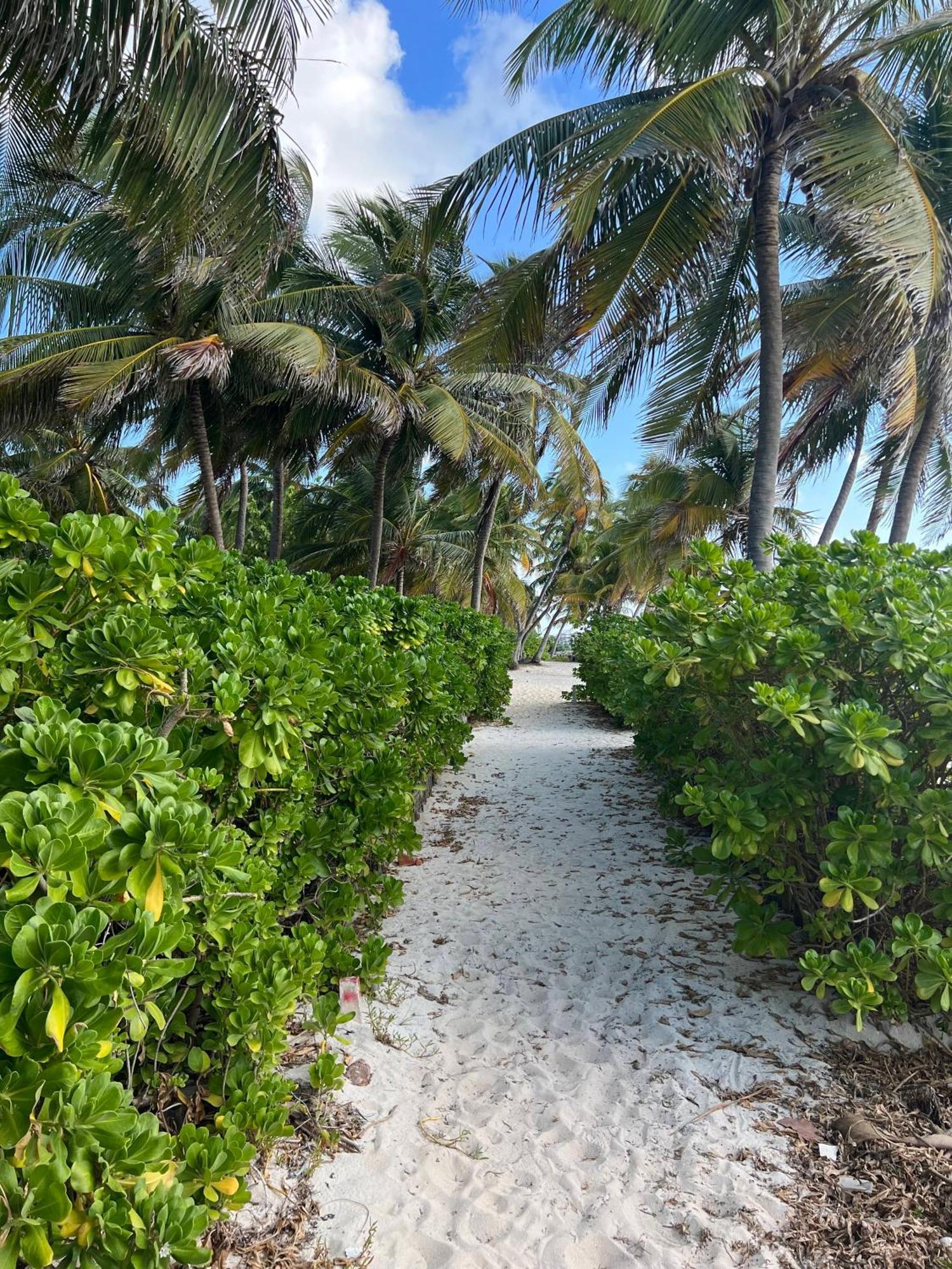 White Sands Cove Resort San Pedro (Ambergris Caye)