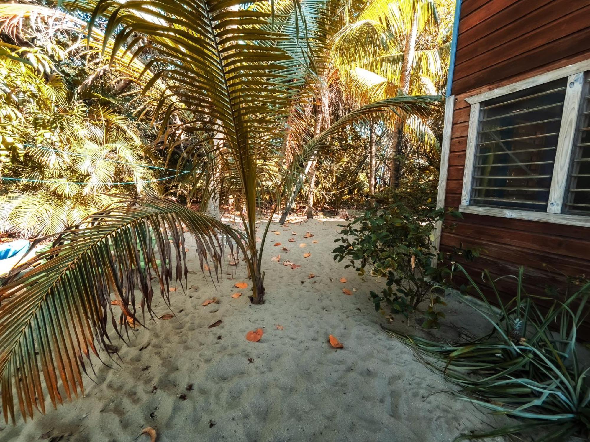 Anda Di Hows * Placencia