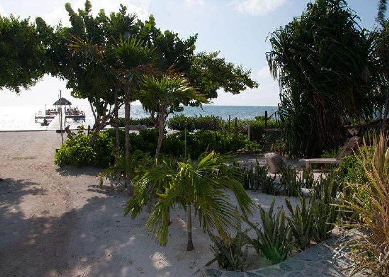 Sandy's Secret Caye Caulker