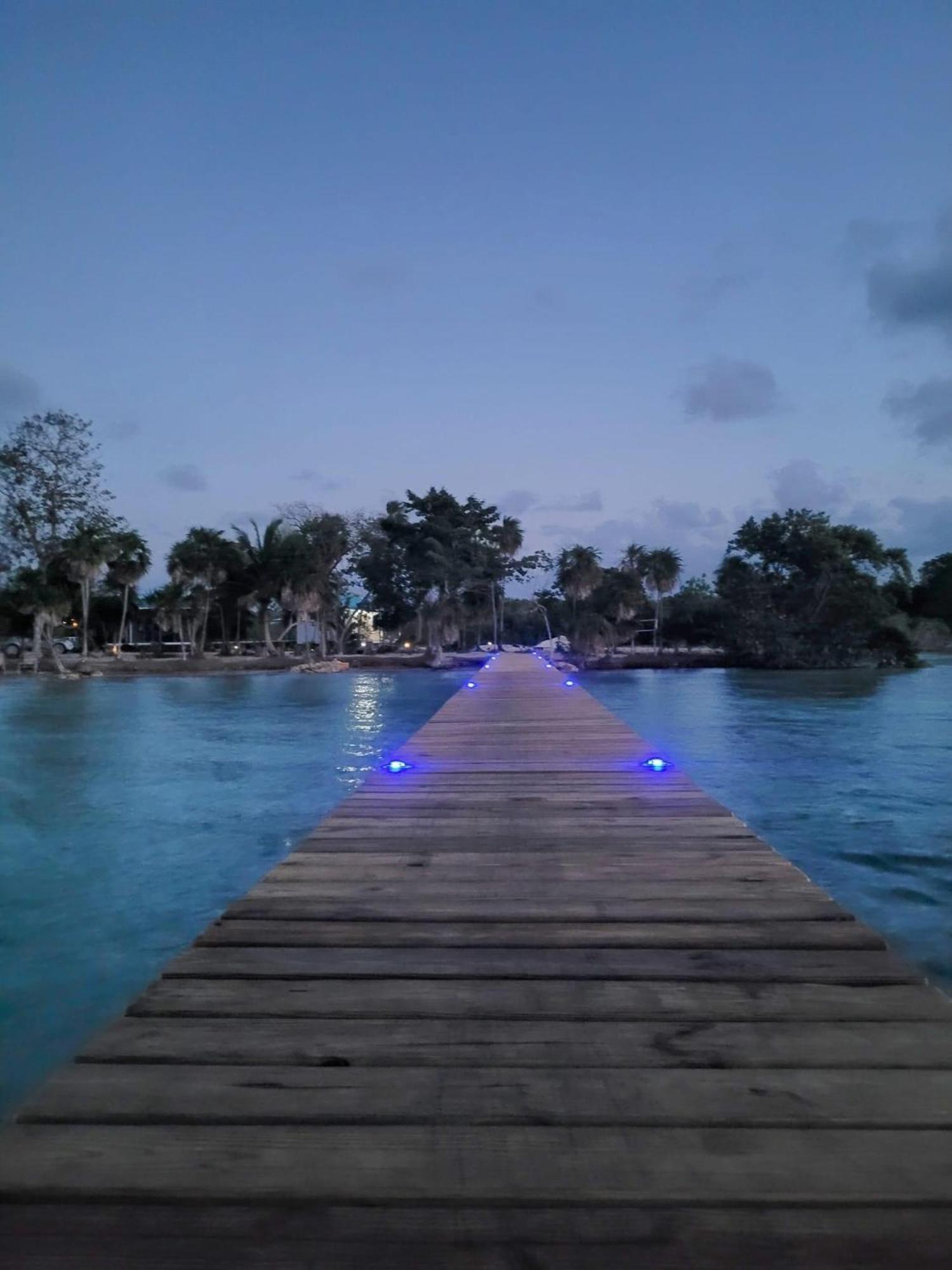 Belizima Eco *