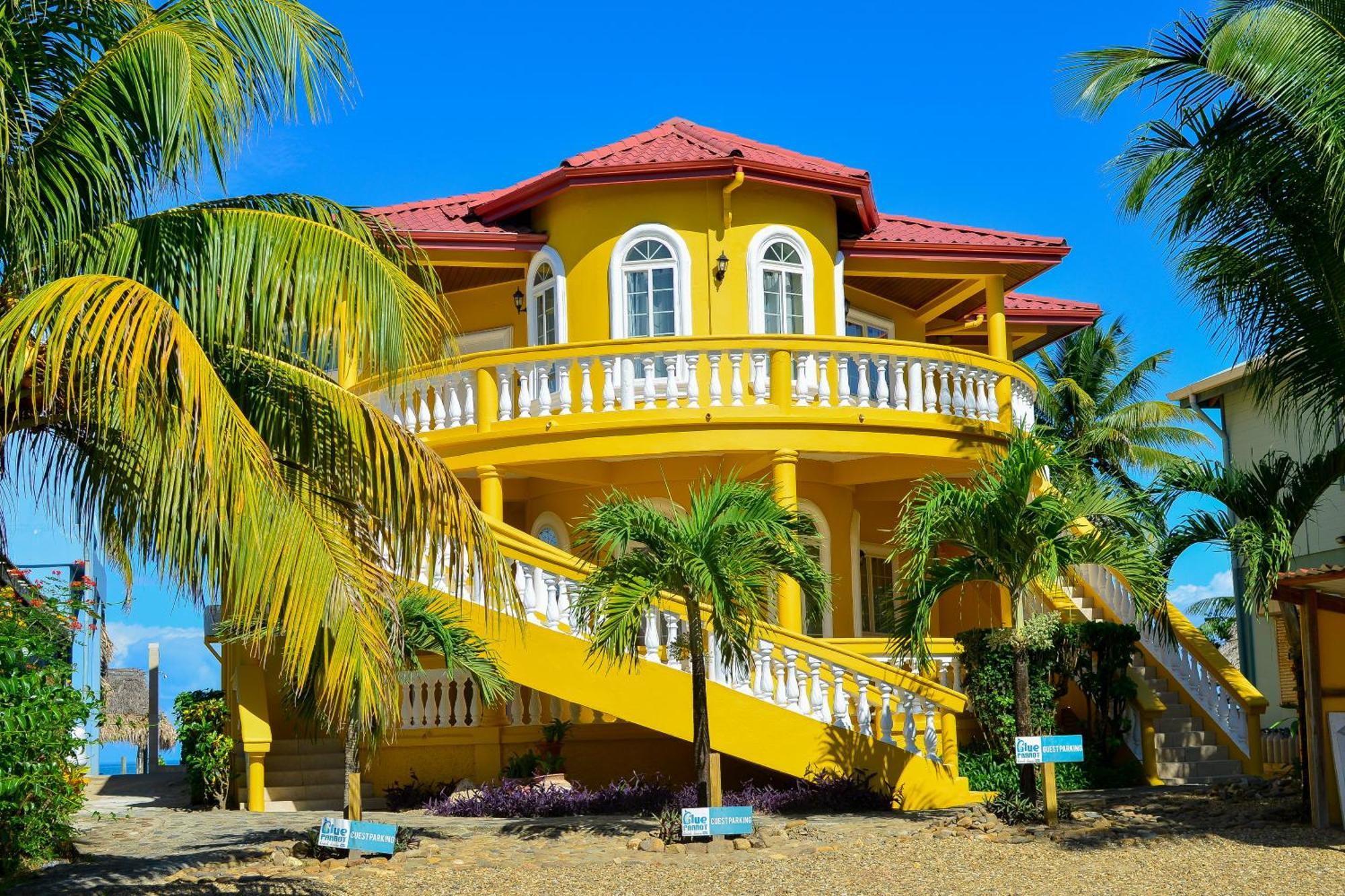 Blue Parrot House And Aparthotel