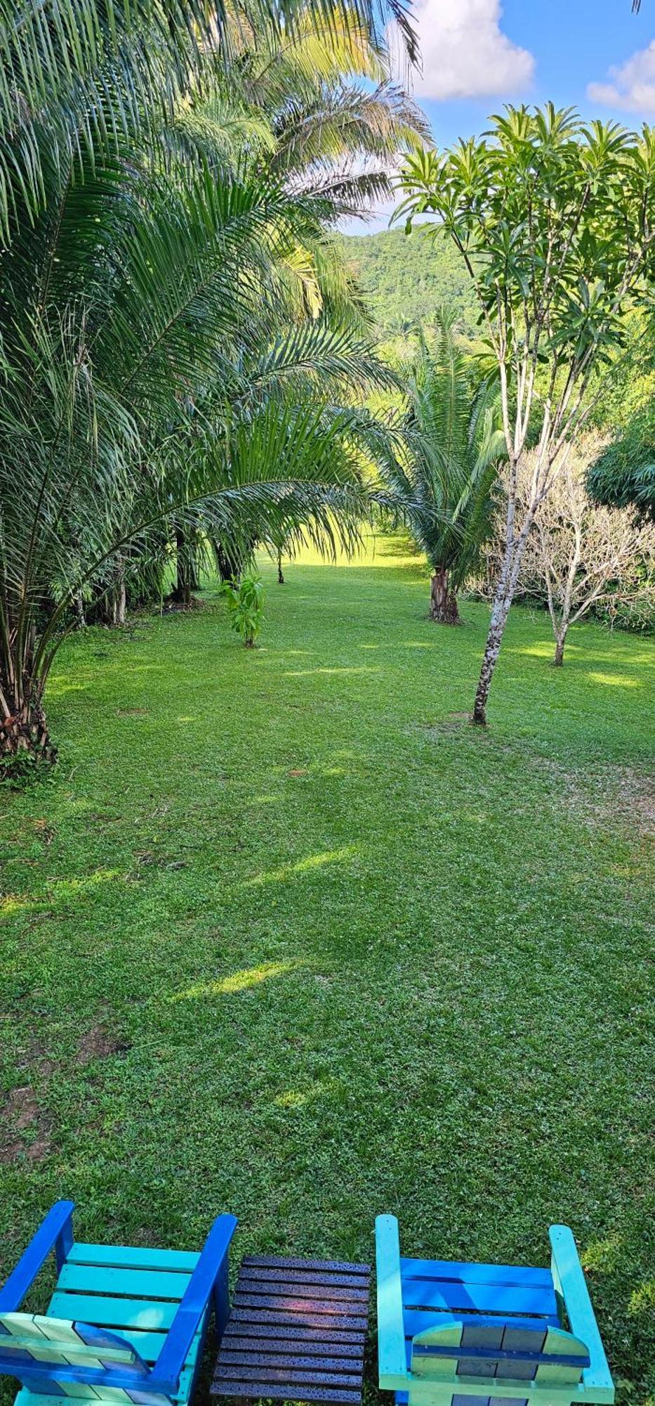 Oasis - Formerly The Bush Resort *