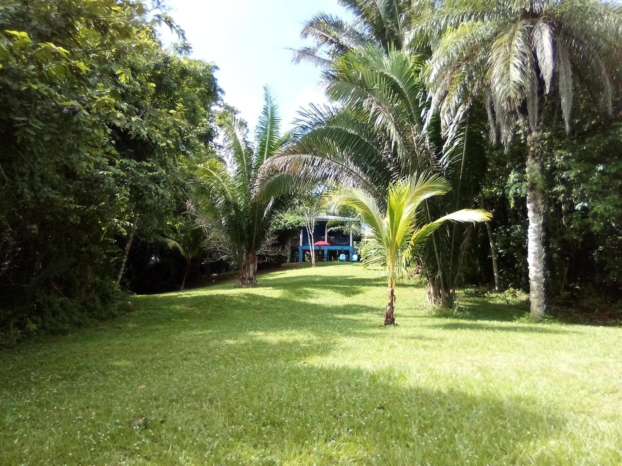Oasis - Formerly The Bush Big Eddy