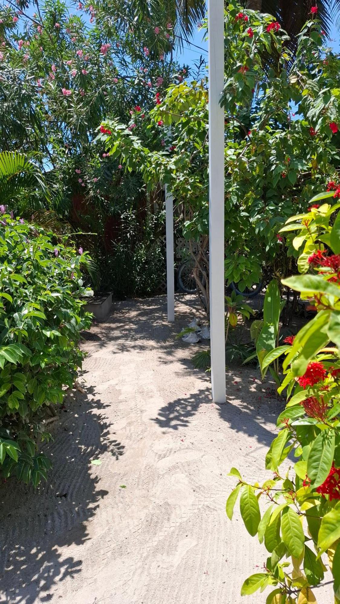 Amanda's Place Casa Amancer - Sea View, Pool And Tropical Garden *