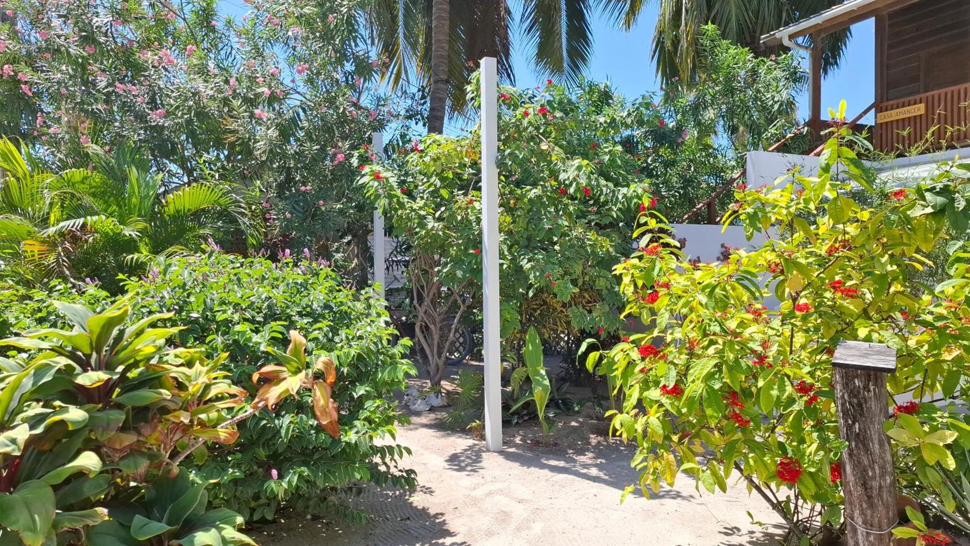 Holiday home Amanda's Place Casa Amancer - Sea View, Pool And Tropical Garden