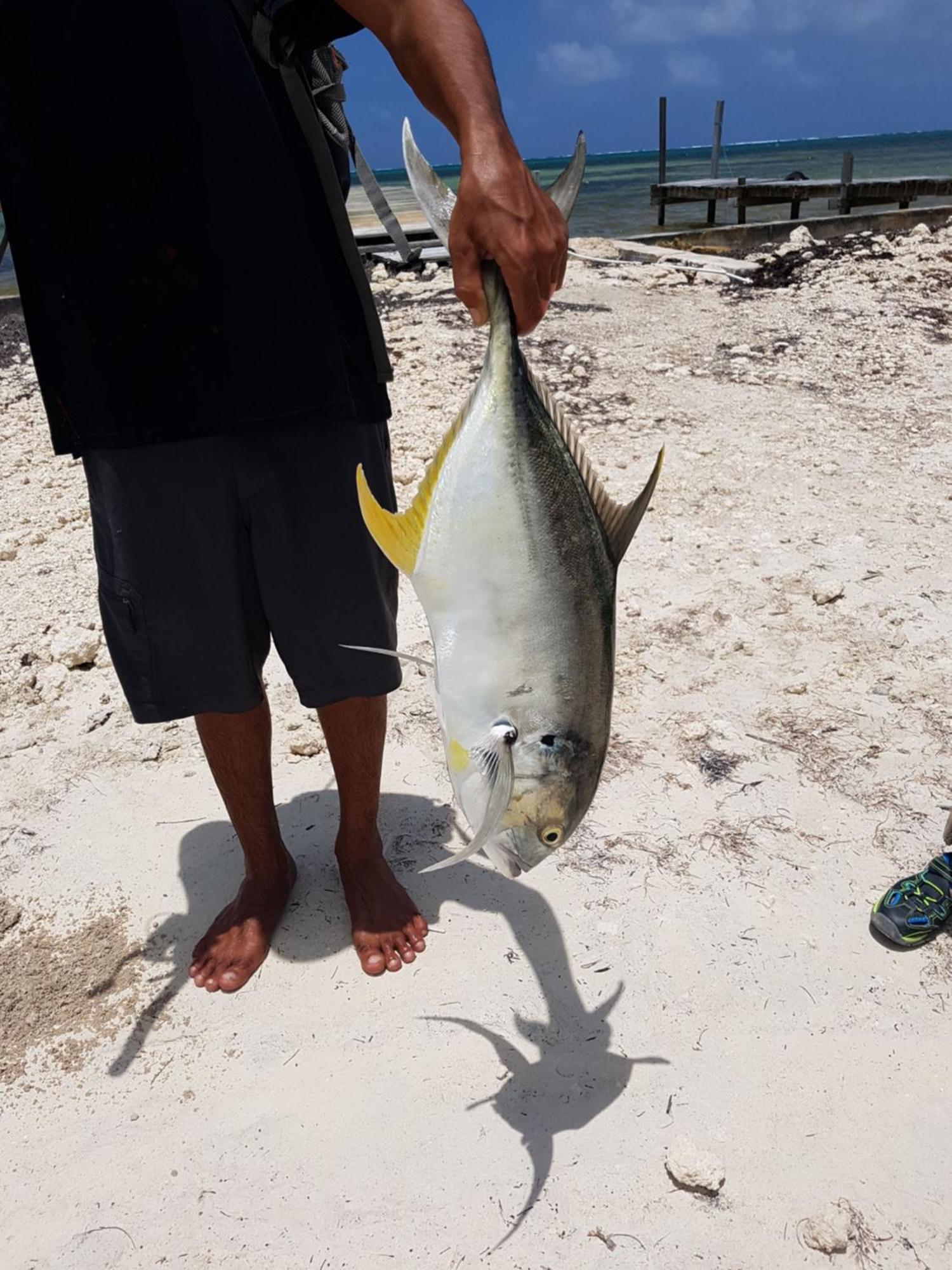 Royal Caribbean 4* San Pedro (Ambergris Caye)