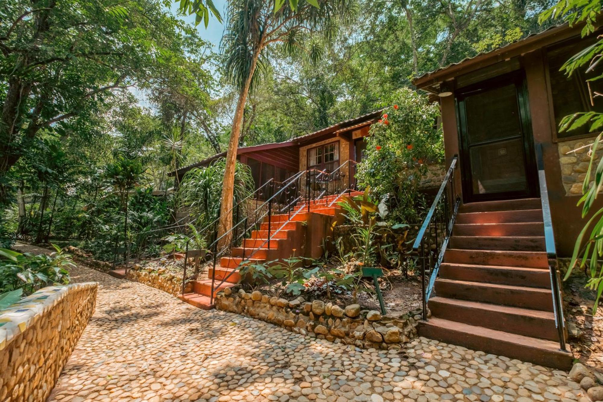 Sweet Songs Jungle San Ignacio