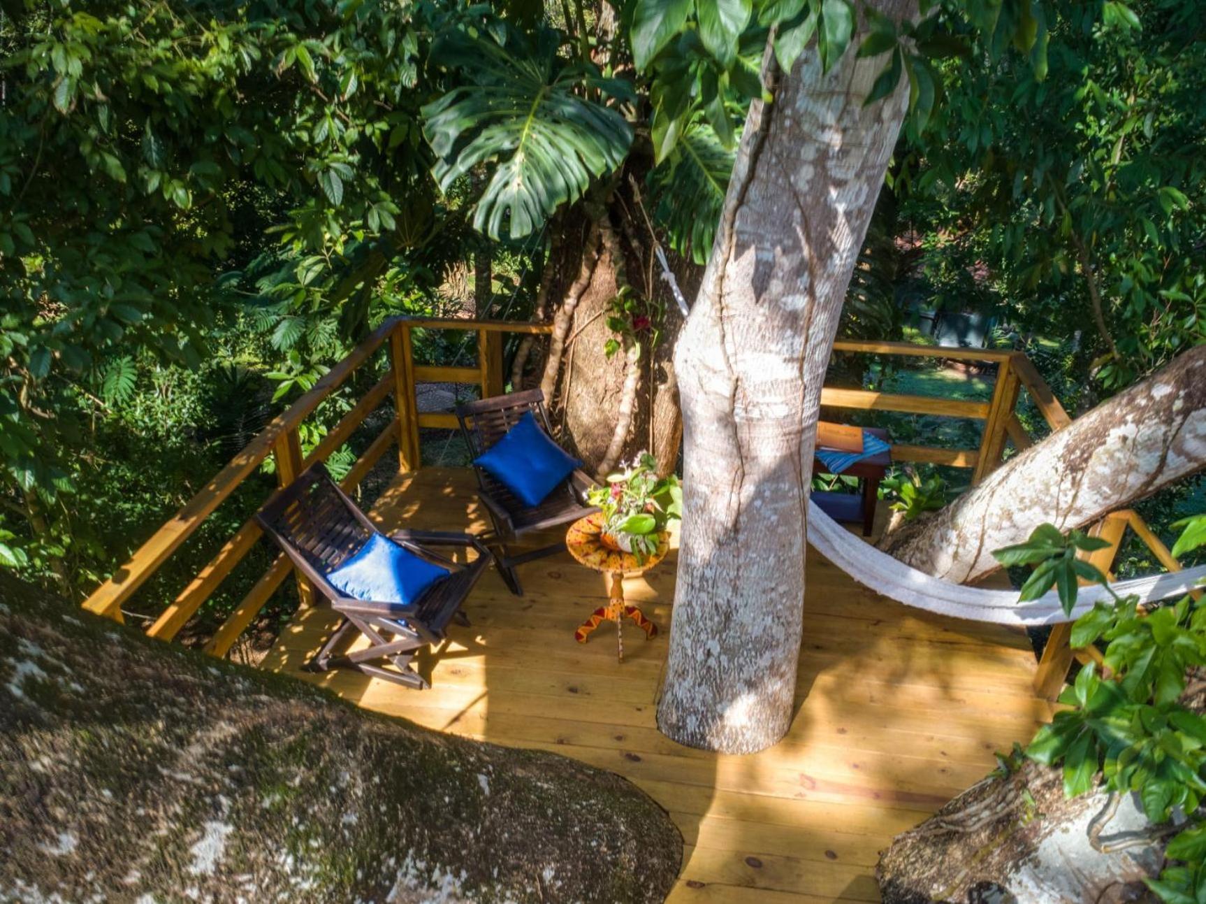 Lodge Sweet Songs Jungle *