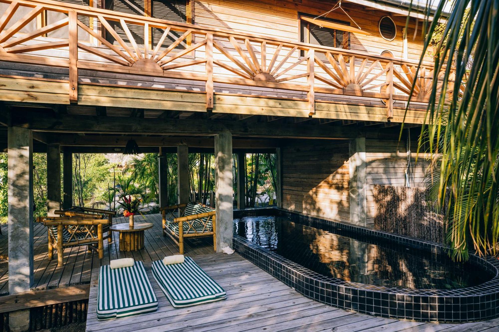 Resort Turtle By Francis Ford Coppola