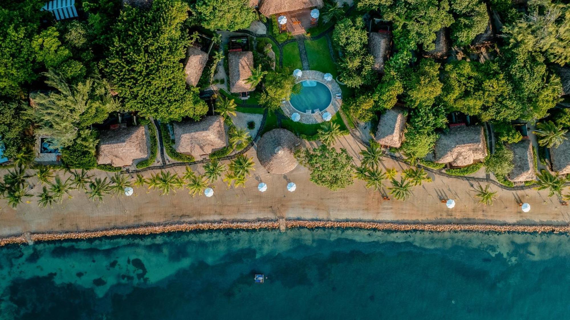 Resort Turtle By Francis Ford Coppola