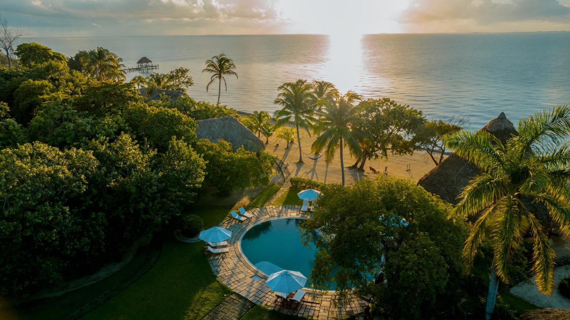 Turtle By Francis Ford Coppola Resort