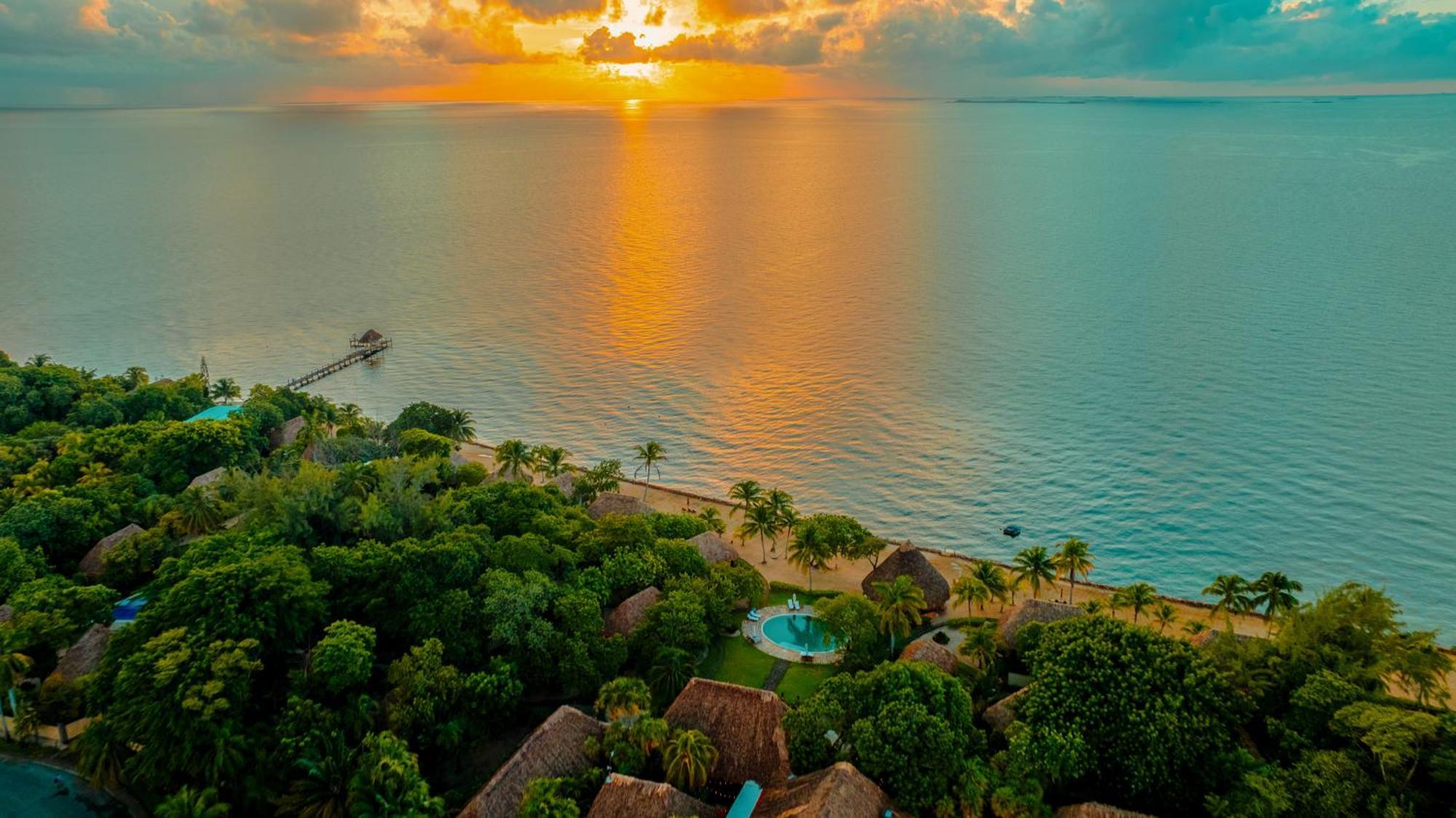 Resort Turtle By Francis Ford Coppola