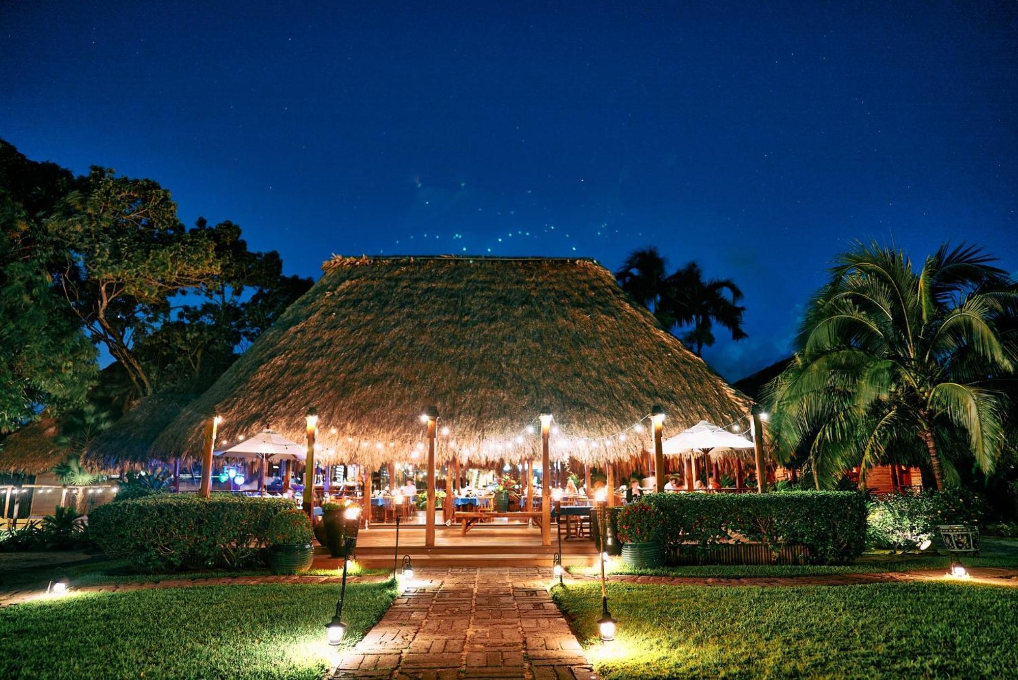 Turtle By Francis Ford Coppola 5* Placencia